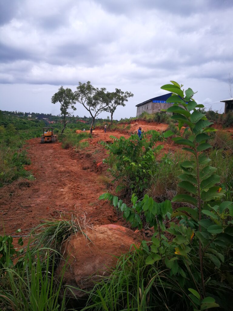 Farm site